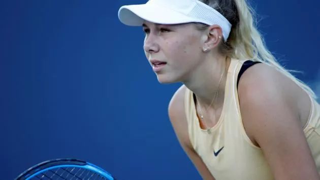 森林狼队 森林狼队