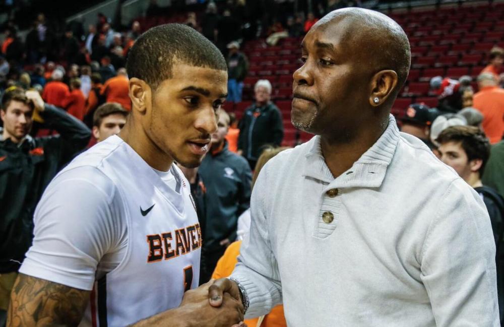 维尔纳萨尔 维尔纳萨尔