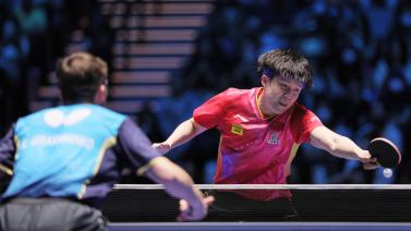 的共同热爱 的共同热爱